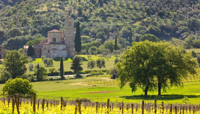 Abbey of Sant’Antimo with vineyards