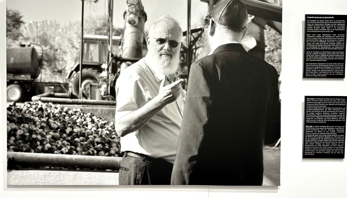 Jozsef Stevlik