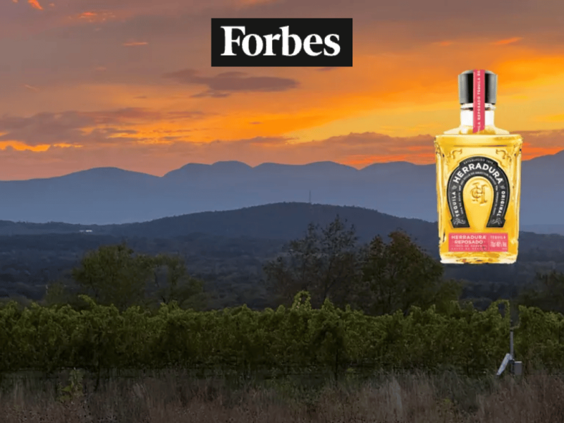 Photo for: The World’s Best Tequila—According To The 2026 London Spirits Competition