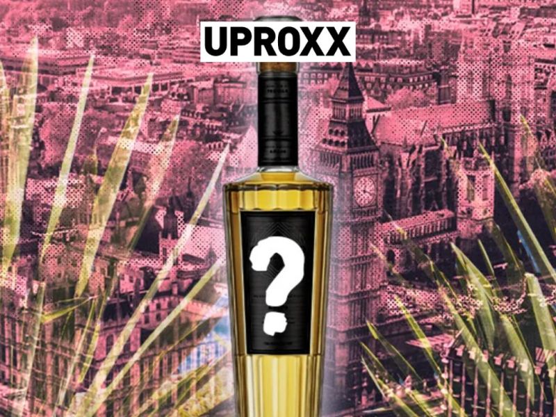 Photo for: Our Review Of The London Spirits Competition’s 2024 Tequila Of The Year